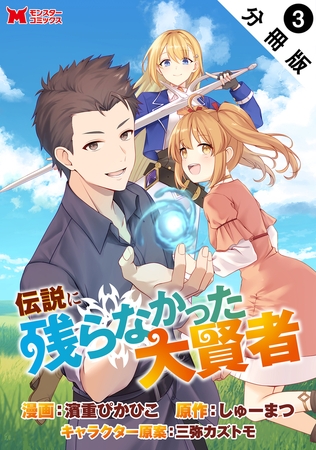 伝説に残らなかった大賢者（コミック） 分冊版 ： 3