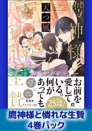 鷹神様と憐れな生贄4巻パック