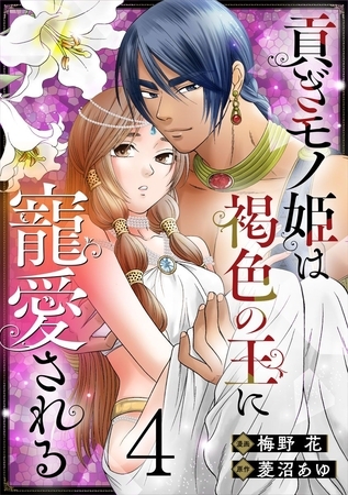 貢ぎモノ姫は褐色の王に寵愛される 4巻