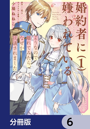 婚約者に嫌われているようなので離れてみたら、なぜか抗議されました【分冊版】　6