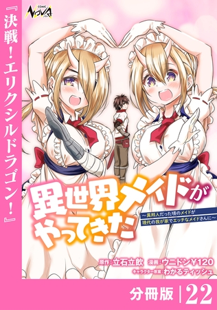 異世界メイドがやってきた～異邦人だった頃のメイドが現代の我が家でエッチなメイドさんに～【分冊版】（ノヴァコミックス）２２