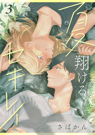 夏翔けるセキレイ3