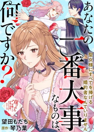 あなたの一番大事なものは、何ですか？～聖女様にすべてを捧げる婚約者なんていりません～