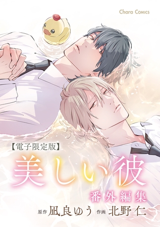 「美しい彼」番外編集【電子限定版】