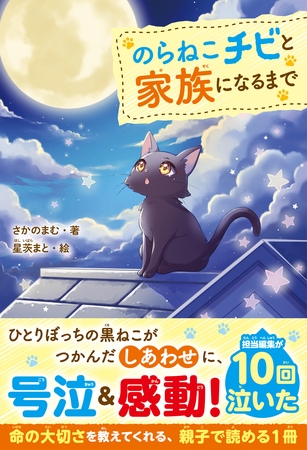 のらねこチビと家族になるまで