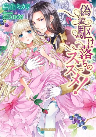 偽装駆け落ちのススメ！