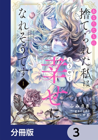 あなたたちに捨てられた私は、ようやく幸せになれそうです【分冊版】　3
