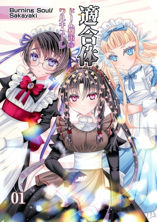 適合体01