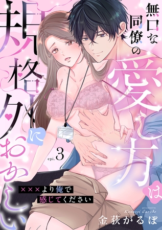 無口な同僚の愛し方は規格外におかしい～×××より俺で感じてください～(3)