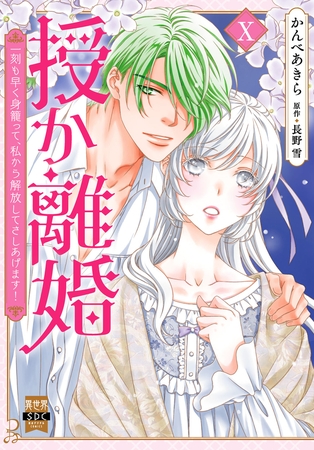 授か離婚～一刻も早く身籠って、私から解放してさしあげます！【単行本版】10