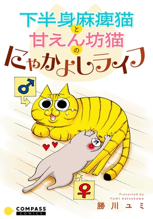 下半身麻痺猫と甘えん坊猫のにゃかよしライフ