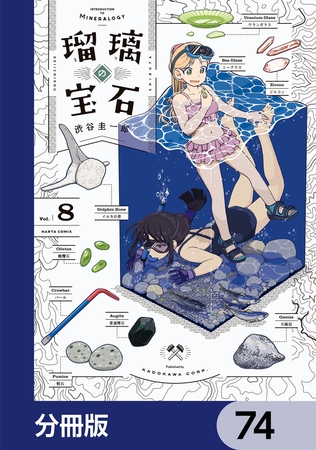 瑠璃の宝石【分冊版】　74