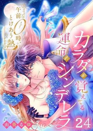 午前0時、とけあう熱～カラダが覚えてる運命のシンデレラ24