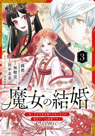 魔女の結婚～愛し子の世界征服を手伝いますが、転生のことは秘密です～@comic【単話】 3