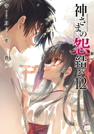 神さまの怨結び 12巻パック