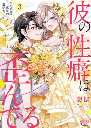 彼の性癖は歪んでる。【単行本版】～聖母系エリートの悪魔的とろとろ溺愛セックス～3