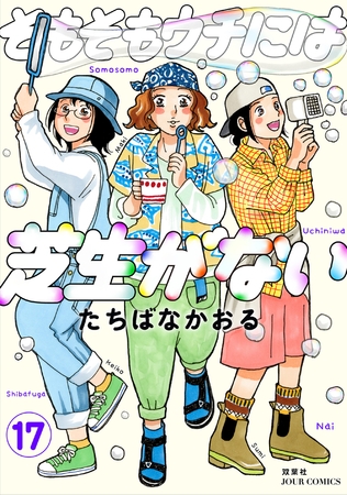 そもそもウチには芝生がない ： 17