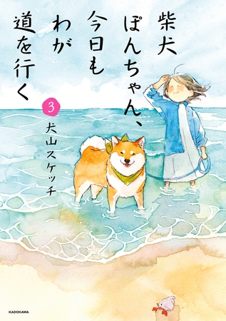 柴犬ぽんちゃん、今日もわが道を行く３