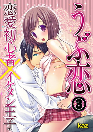 うぶ恋 恋愛初心者×イケメン王子 3巻