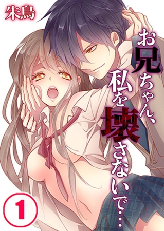 お兄ちゃん、私を壊さないで… 1
