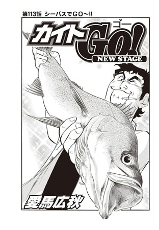 カイトGO! 第113話