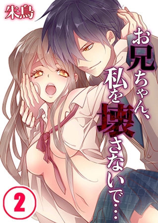 お兄ちゃん、私を壊さないで… 2