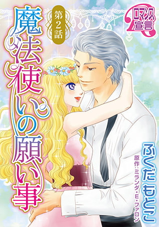 魔法使いの願い事2