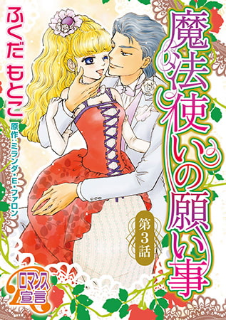 魔法使いの願い事3