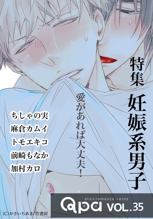 Qpa vol.35  妊娠系男子　愛があれば大丈夫！