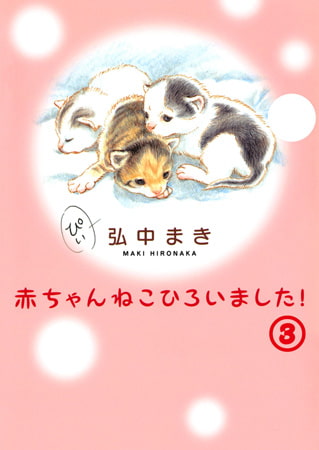 赤ちゃんねこひろいました! 3