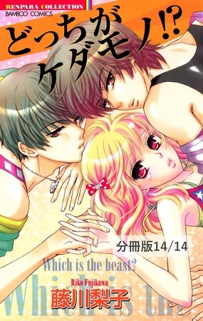 VS.グラビア！　２　どっちがケダモノ！？【分冊版14/14】