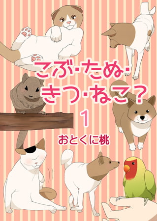 こぶ・たぬ・きつ・ねこ? 1