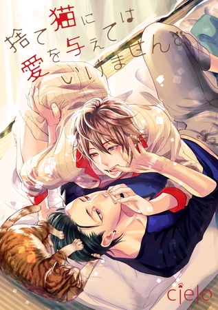 捨て猫に愛を与えてはいけません。