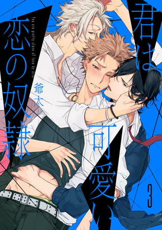 君は可愛い恋の奴○ 【単話売】 3