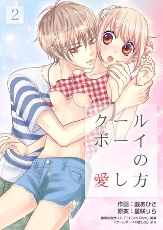 クールボーイの愛し方 2巻