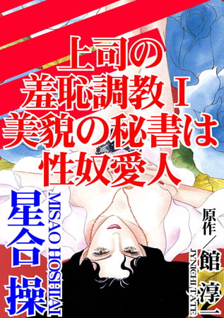 上司の羞恥調教 I 美貌の秘書は性奴愛人