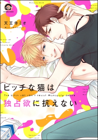 ビッチな猫は独占欲に抗えない【電子限定かきおろし漫画付】　【シリーズ 2】