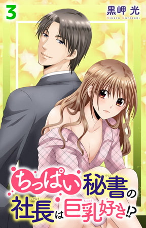 ちっぱい秘書の社長は巨乳好き!? 3巻