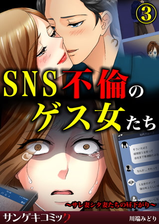 SNS不倫のゲス女たち～サレ妻シタ妻たちの昼下がり～ 3