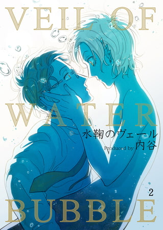水鞠のヴェール 2巻