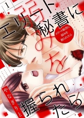 エリート秘書に弱みを握られたら【描き下ろしおまけ付き特装版】