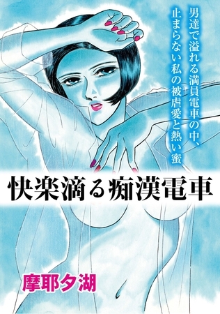 快楽滴る痴○電車