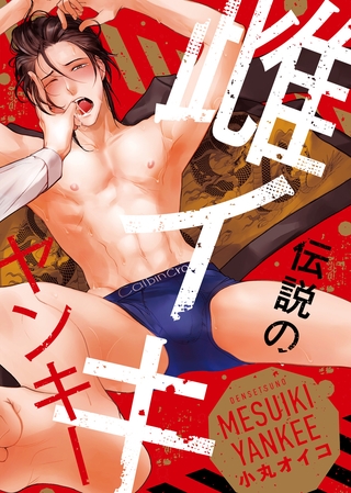 【特装版】伝説の雌イキヤンキー【電子限定おまけ付き】