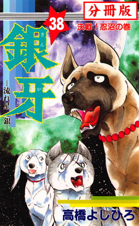 銀牙―流れ星 銀― 【分冊版】 38巻