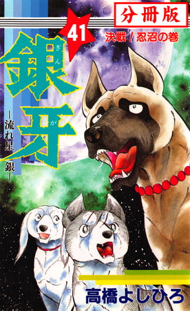 銀牙―流れ星 銀― 【分冊版】 41巻
