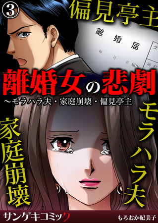 離婚女の悲劇～モラハラ夫・家庭崩壊・偏見亭主 3