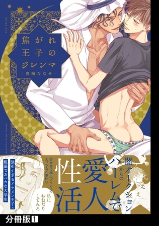 焦がれ王子のジレンマ【分冊版】(1)
