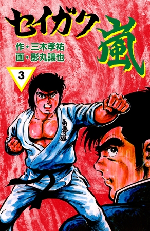 セイガク嵐　3