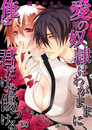 愛の奴○はわがままに、俺は君だけを傷つける～男装姫と黒王子(2)