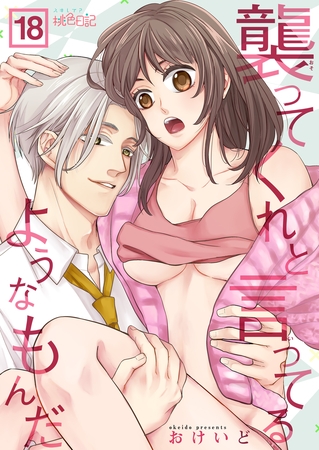 襲ってくれと言ってるようなもんだ 18
